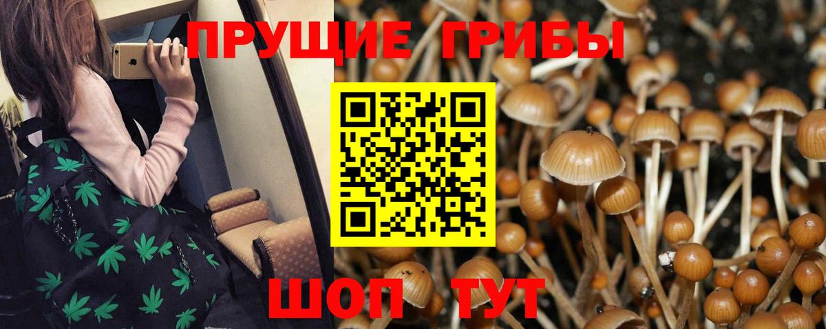 Нижнекамск  Галлюциногенные грибы Psilocybine cubensis  купить наркотики сайты  Вход с VPN 